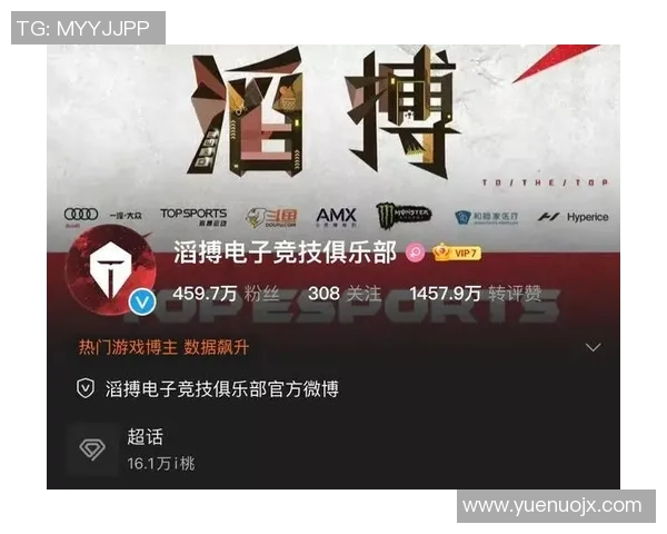 esports数据张伟畅谈王者荣耀成长之路与未来展望的深度专访回顾